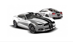 Ford Mustang FM Over The Top Stripe Kit - Solid Dual Stripe Matte Black