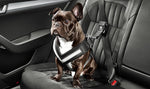 Skoda Dog Seatbelt - Large - Medium - Small - Xtra Large